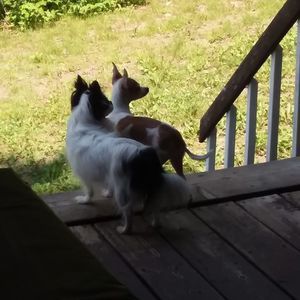 Meet your Posher, Johna